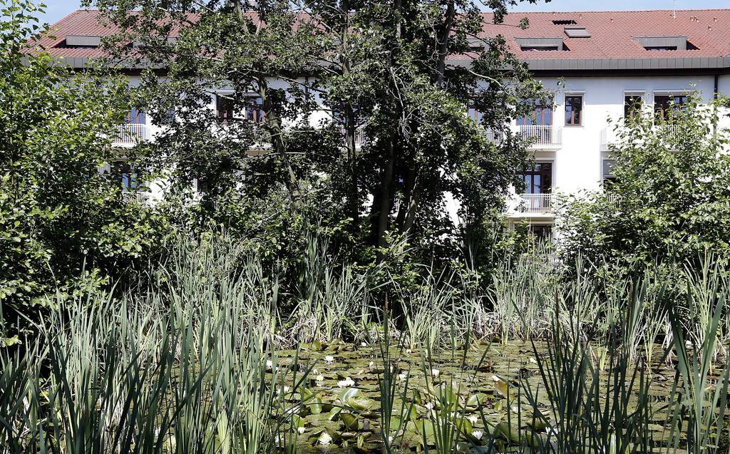 Tagungs- Und Bildungszentrum Steinbach/Taunus Steinbach im Taunus Kültér fotó